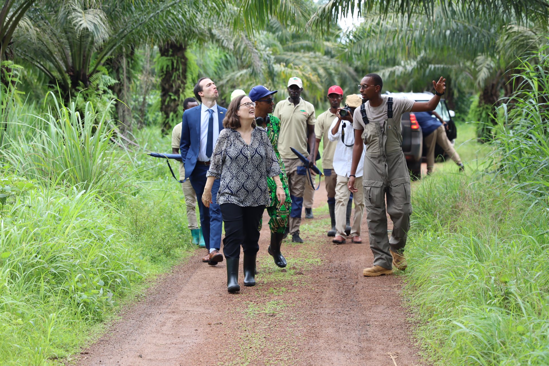 A delegation follows an agricultural path during an outdoor programme visit.